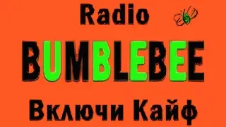  Radio BumbleBee прямий ефір
